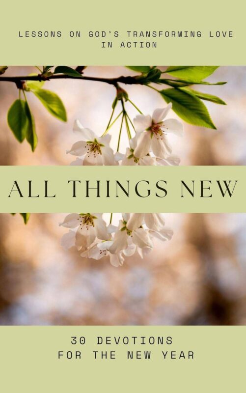 All Things New: Lessons on God’s Transforming Love in Action